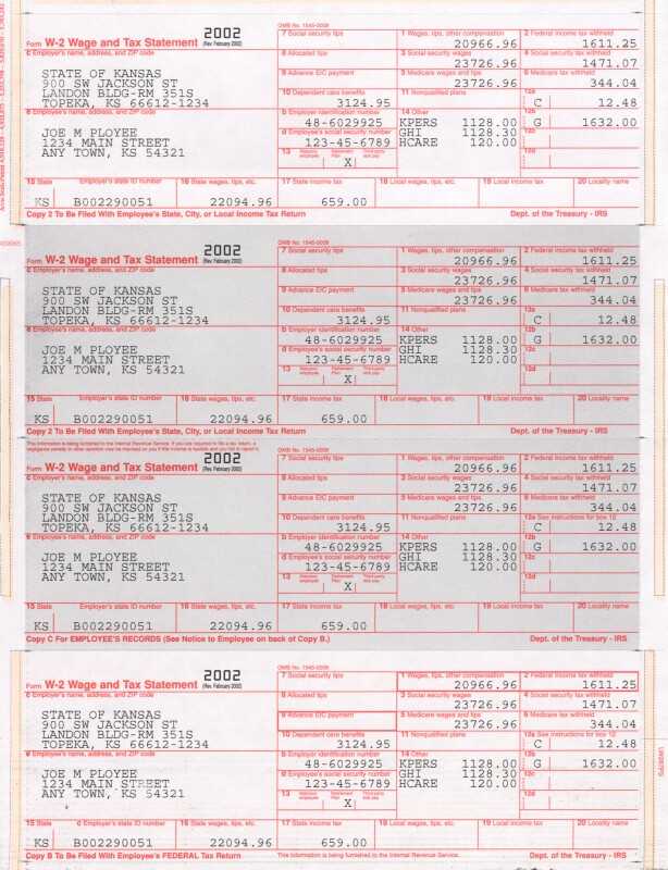 Image of 2002 W-2 Wage and Tax Statement